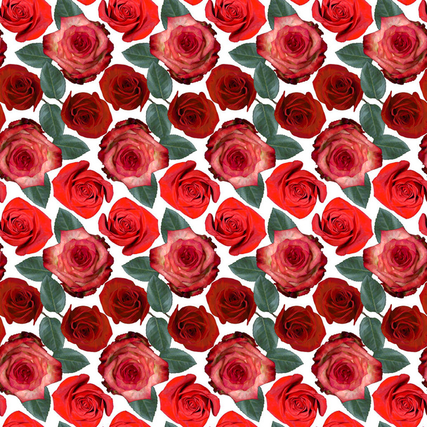 Seamless pattern with red, pink rose flowers and green leaves on white background. Endless colorful floral texture. Raster illustration. - Photo, image