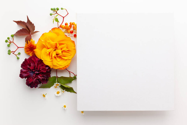 Autumn composition with flowers, leaves and berries on white background. Flat lay, copy space. - Photo, Image