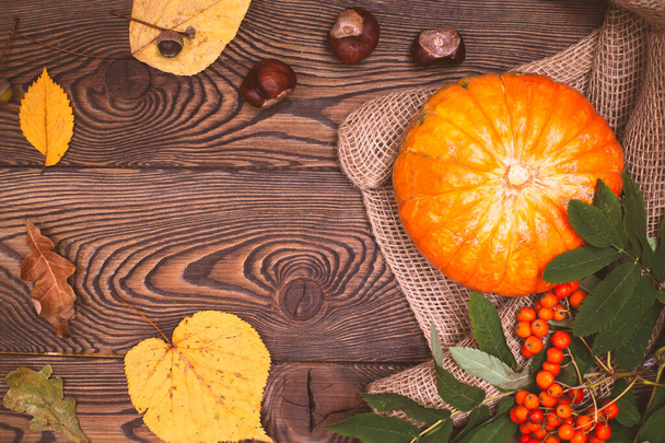 Vue de dessus des mini-citrouilles et du rowan d'automne sur un fond en bois. Joyeux Thanksgiving et Jour de la Récolte. - Photo, image
