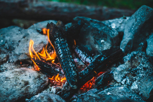 Vivid smoldered firewoods burned in fire close-up. Atmospheric warm background with orange flame of campfire. Unimaginable full frame image of bonfire. Burning logs in beautiful fire. Wonderful flame. - 写真・画像