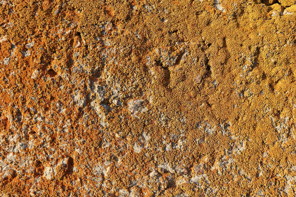 Mousse abstraite sur la surface de dalle de béton. Texture de mur de ciment. Vieux fond de bâtiment de fissure - Photo, image