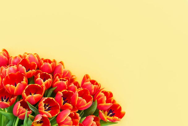 Czerwony bukiet tulipanów na żółtym tle. Płaskie ułożenie, kopiowanie miejsca na tekst - Zdjęcie, obraz