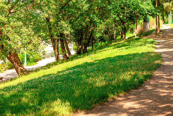 шлях зелених дерев, на початку осені
 - Фото, зображення