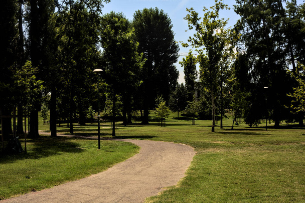 Path in a park in summer with a man walking in the distance - Foto, Imagen