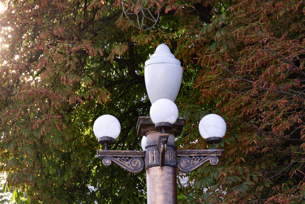 Straatlamp op bomen achtergrond - Foto, afbeelding