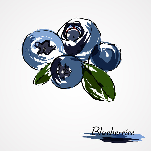 Blueberries, huckleberries - Vector, Image