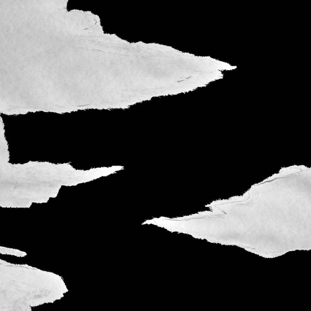 Siyah ve Beyaz Yırtık Kağıt Kolajı Biçimi, Yırtılmış Kağıt Efekti, Doku Soyut Arkaplan, Metin için Boşluğu Kopyala. - Fotoğraf, Görsel