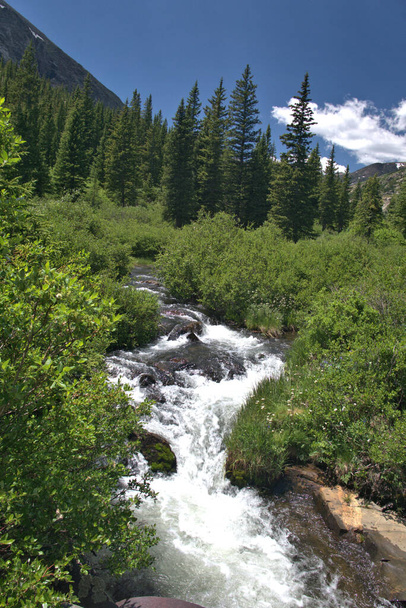 Hegyi patak száguld keresztül a hegyi réten egy nyári délutánon - Fotó, kép