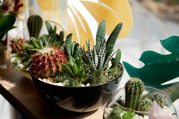 Dekoratív kerámia váza. Gyönyörű virágos elrendezése af Succulent és a kaktusz növények virágcserép világosszürke márvány asztal. Stílusos belsőépítészet - Fotó, kép