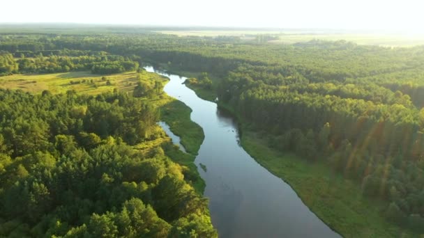Tiro aéreo de dron del río natural - Imágenes, Vídeo