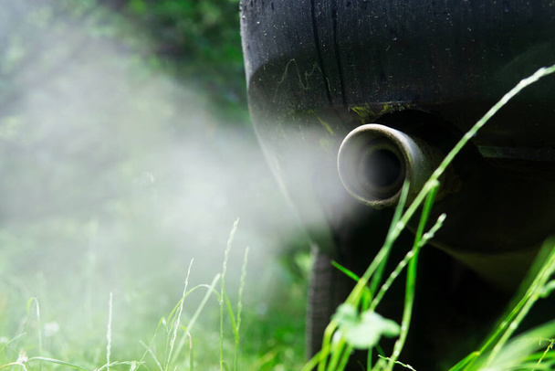 Exhaust gases from the muffler of the car. Close-up. White smoke. The concept of harm to the environment from internal combustion engines - Photo, Image