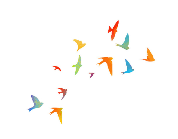 Tragadas multicolores. Manada voladora de aves. Ilustración vectorial - Vector, Imagen