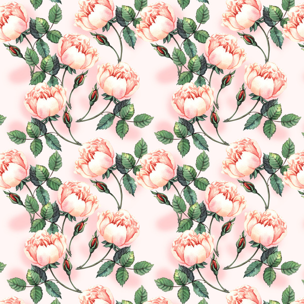 Watercolor pattern with roses - Фото, изображение