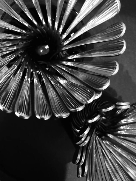 close up of a black and white photo of a beautiful flower - Foto, afbeelding