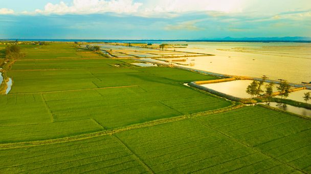 Laguna de Tam Giang Hue ciudad en Vietnam, donde tienen muchas hermosas playas, flores, campos de arroz. Es una gran ciudadela al lado de un gran río tiene nombre río Huong y muchas grandes pagoda y la iglesia. Hue tiene una laguna más grande en la ASEAN se llama laguna Tam Giang - Foto, Imagen
