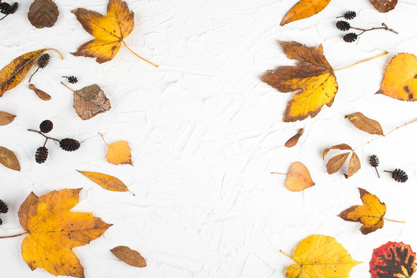 Autumn leaves on a  textured background, empty copy space, flat lay, top view, colours of the fall - Foto, Bild
