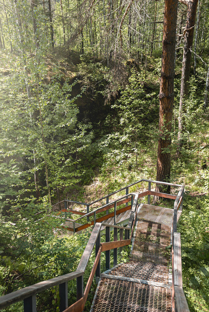 Path through the forest in Summer  - Fotografie, Obrázek