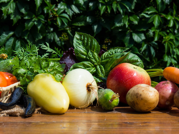 Tahta bir masada sebzeler. Biyolojik sağlıklı gıda, bitkiler ve sebzeler çiftlik çiftliklerinden.. - Fotoğraf, Görsel