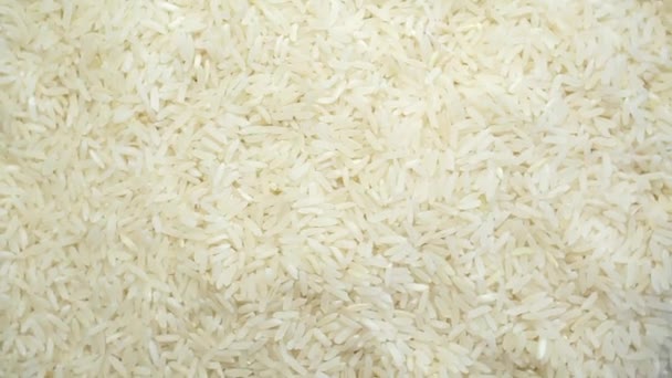 Keittämättömän valkoisen riisin rakenne pyörivä - Materiaali, video