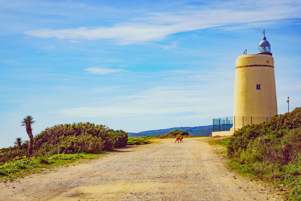 Карбонерський маяк розташований на Пунта-Мала, Ла-Алькайдеса, Іспанія. Ліхтар над Гібралтарською протокою.. - Фото, зображення