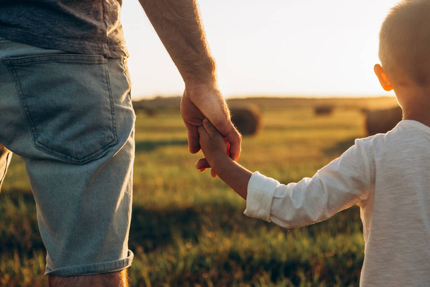 Father's and his son holding hands at sunset field. Dad leading son over summer nature outdoor. Family, trust, protecting, care, parenting concept - Zdjęcie, obraz