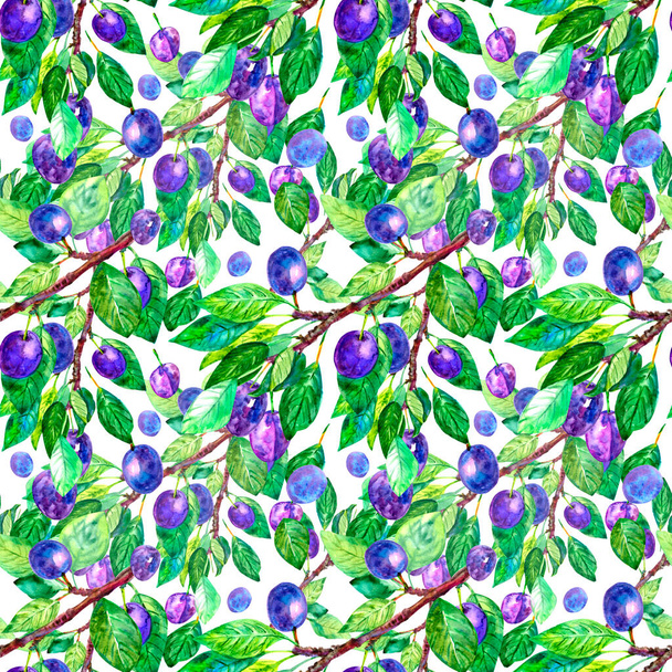 seamless natural pattern green with plum berries - Valokuva, kuva