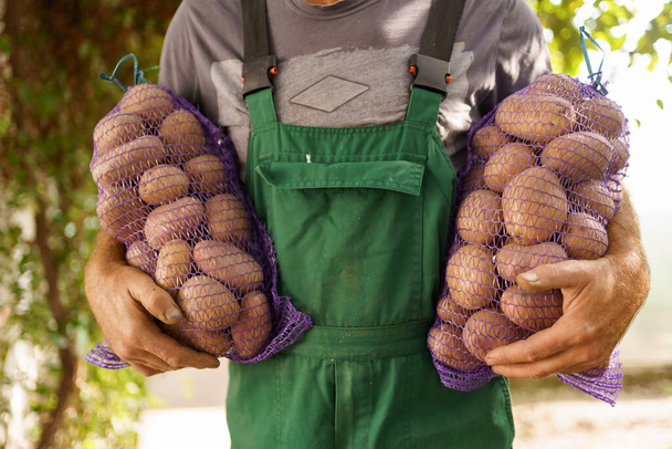 Agricoltore con sacchi di patate - Foto, immagini