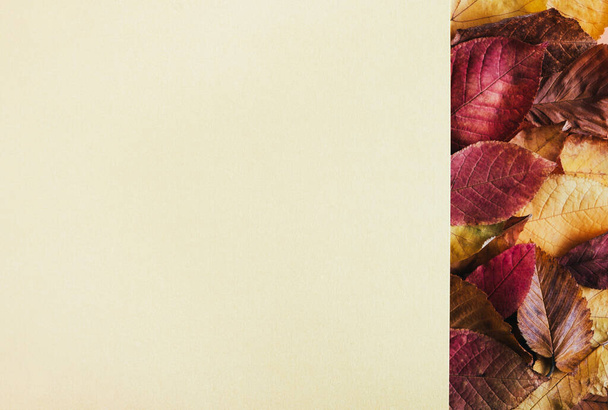 Biglietto d'auguri autunnale. Cornice in carta bianca con foglie rosse e gialle. Stagione autunnale, vendita, concetto del giorno del Ringraziamento. Vista dall'alto, disposizione piatta, spazio di copia, mockup - Foto, immagini