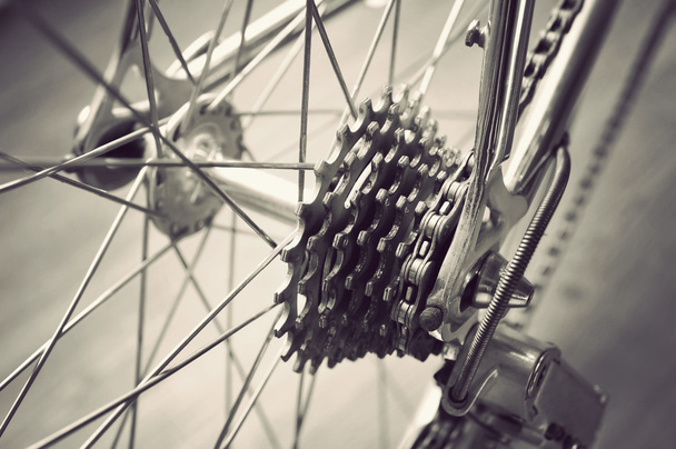 Rueda trasera de la bicicleta
 - Foto, Imagen