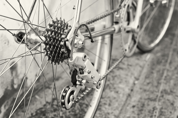Bisiklet 's arka tekerlek - Fotoğraf, Görsel