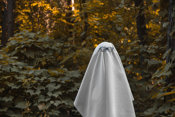 Halloween ghost in forest. Festive creative concept - Photo, image