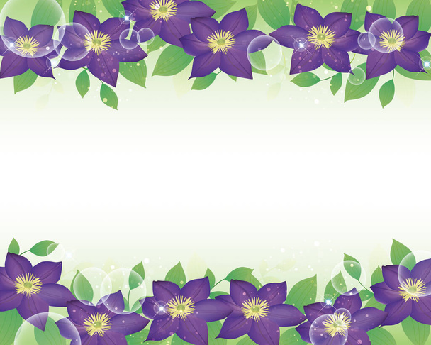Fialová clematis květinové pozadí ilustrace - Vektor, obrázek