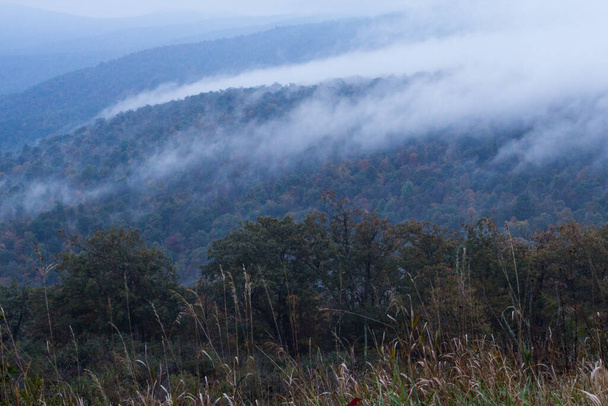 Kilátás a Shenandoah Nemzeti Park, Virginia - Fotó, kép