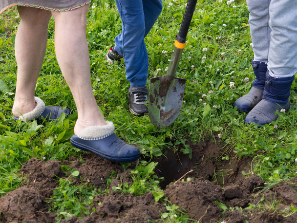 adults and a child are digging a tree hole in the garden of a country house. - Photo, Image