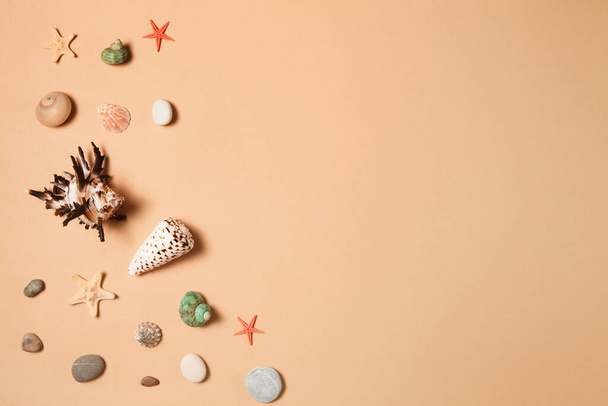 Sea shells starfishes and stone on gray background. Summer concept. Flat lay, top view, copy space. - Fotografie, Obrázek