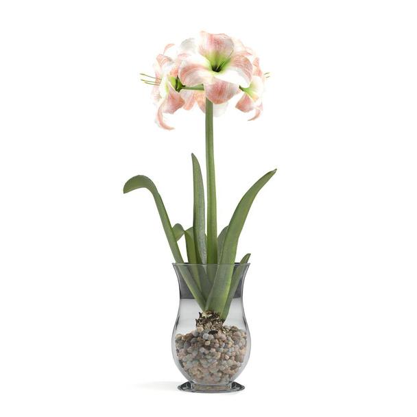 3d rendering of flowers and ornamental plants in pots - Φωτογραφία, εικόνα