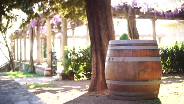 Houten vat staat op het gazon in de buurt van de patio met bloeiende paarse wisteria - Video