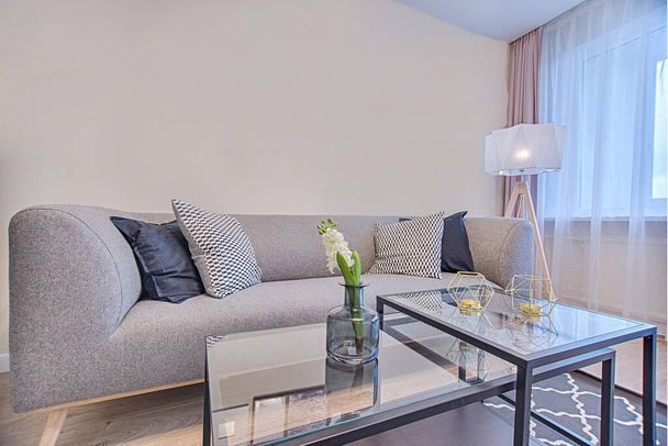 Scandinavian style livingroom with fabric sofa, sofa table2 - Valokuva, kuva
