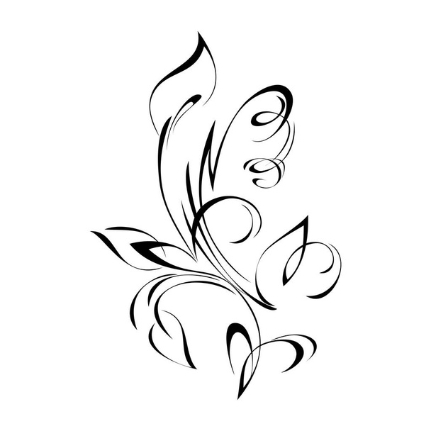 abstract floral pattern in black lines on a white background - Wektor, obraz