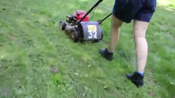 Walk woman cut grass - Footage, Video
