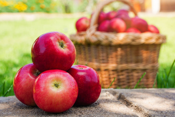 Large red apples in the foreground, blurred basket full of ripe red apples on green grass blurred in the background, harvesting. Fresh farm organic fruits - Foto, Imagem