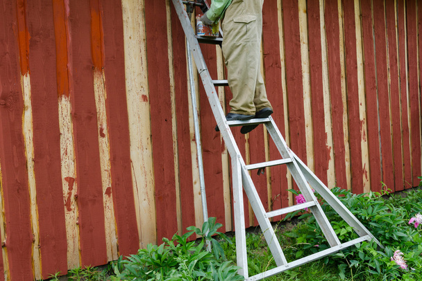 casa pittore uomo su scala dipingere giardino casa muro
  - Foto, immagini