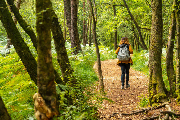 A young woman trekking on Lake Paimpont in the Broceliande forest, Ille-et-Vilaine department, Brittany, near Rennes. France - Fotografie, Obrázek