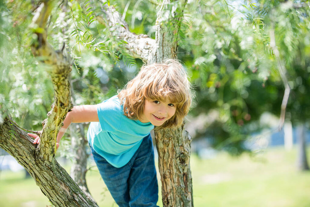Wspinanie się po drzewach zawsze jest zabawne. Aktywny chłopiec wspiąć drzewo. Zabawa z dzieciństwa. Aktywności letnie - Zdjęcie, obraz