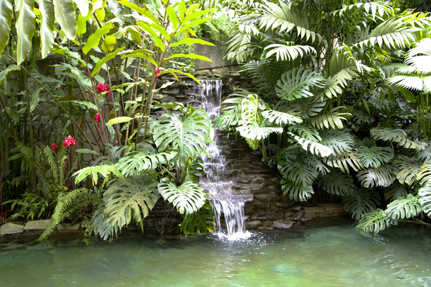 Piscina con cascata e acqua termale calda
 - Foto, immagini