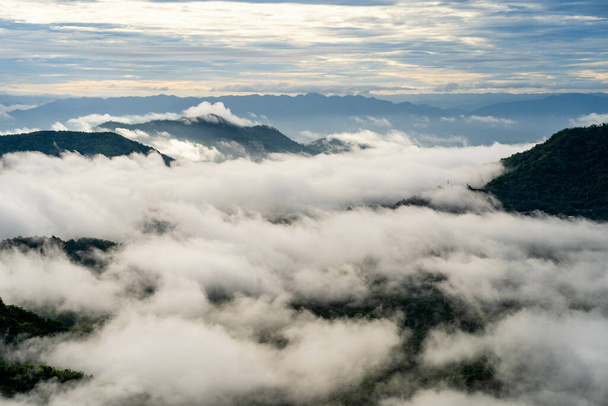 A morning fog landscape in the mountains - 写真・画像