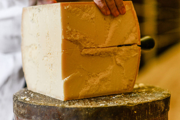 A Cheese master cutting a parmesan cheese wheel at the dairy - Photo, image