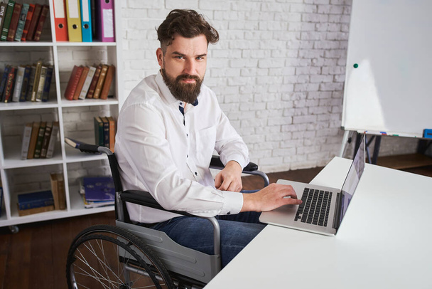 Cheerful boss sitting in a wheelchair and working on a laptop - Foto, immagini