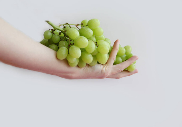 a hand holding a bunch of green grapes on a white background. Grapes in the palm of your hand. Grapes in your hands - Foto, afbeelding