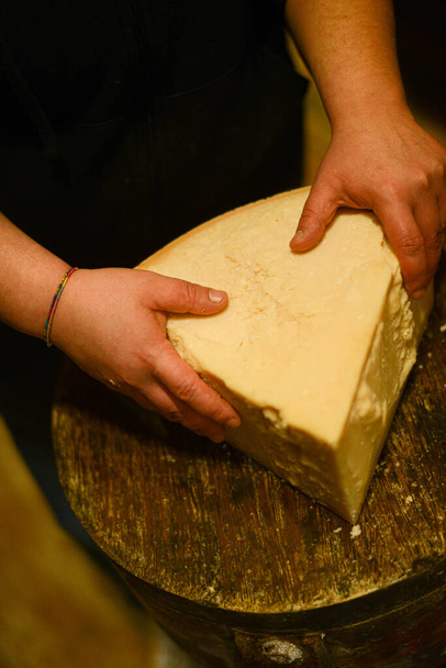 A cheese master cutting a parmesan cheese wheel at the dairy - Foto, immagini